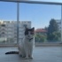 Fıstıksu