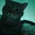 Dexter