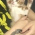 Moni