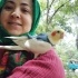 Zoziş