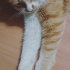 Tarçın