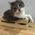 Mimi
