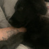 Luca