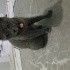 Duman