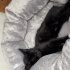 kiko