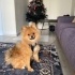 Kuki