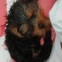 Boby