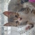 İsmini siz belirleyi...