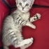 Suzi