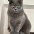 Xena