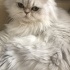İsabel