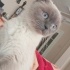 Lucy