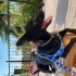 zeytin