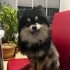ares