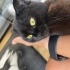 Asya