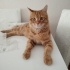 Diego