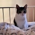 Fiona