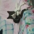Duman