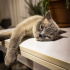 Duman
