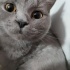 Hera
