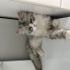 Luka