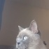 Hera
