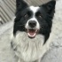 Ares