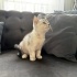 Selver