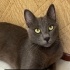 Yusuf