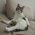 Patik