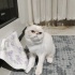 Mırmır