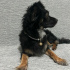 Zeytin