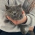 Miya