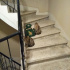 umut