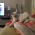 Casper
