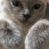 Casper