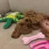 Milo