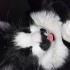 Zeytin