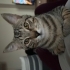 Orbi