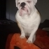 Bombom