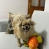 BONCUK