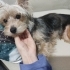 Zeytin