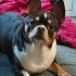Coco