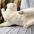 Casper