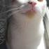 Casper