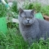 casper