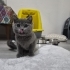 Zeytin
