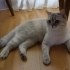 Mia