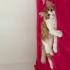 Oscar