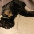 Zeytin